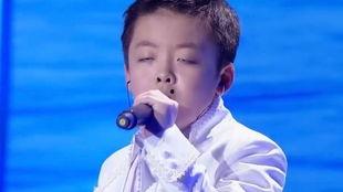 李成宇唱歌视频,歌声中的情感共鸣