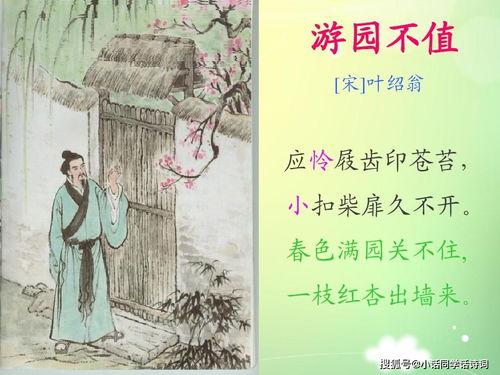 游园不值视频,游园不值视频深度解析