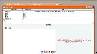 access视频教程,Access视频教程内容概览